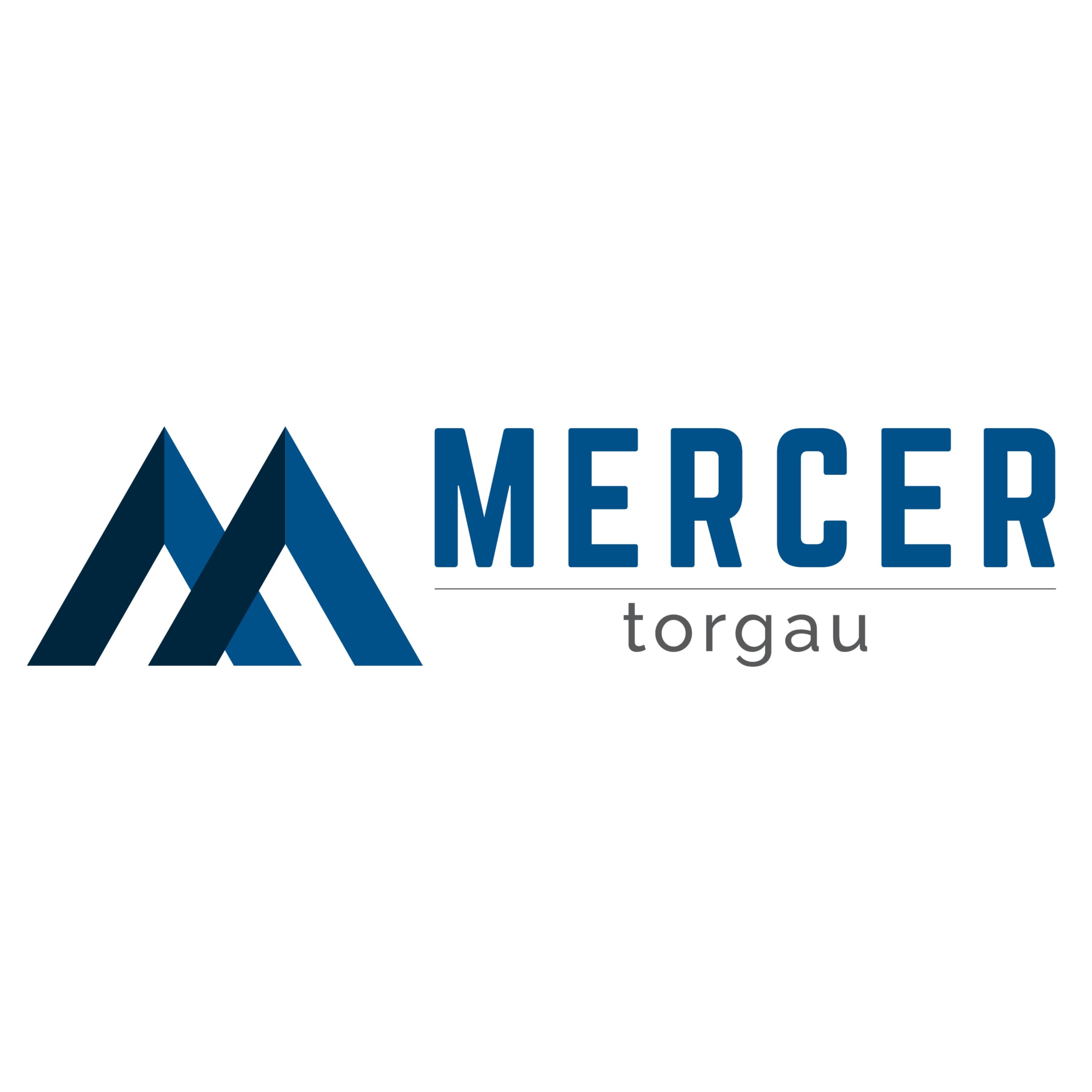 Mercer Torgau GmbH & Co. KG logo