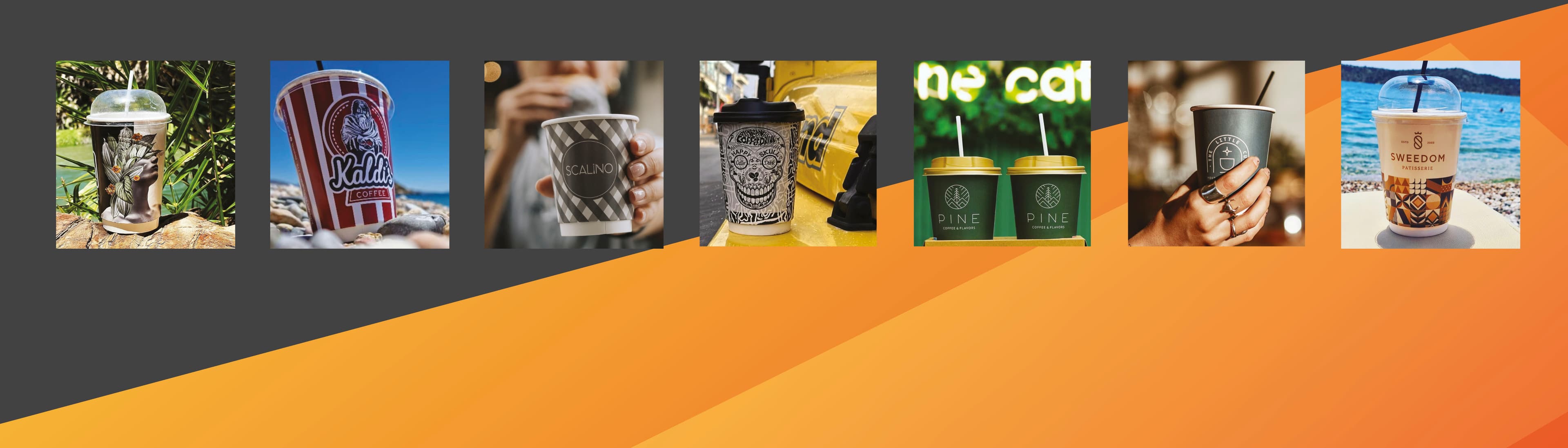 AVENUE PACK