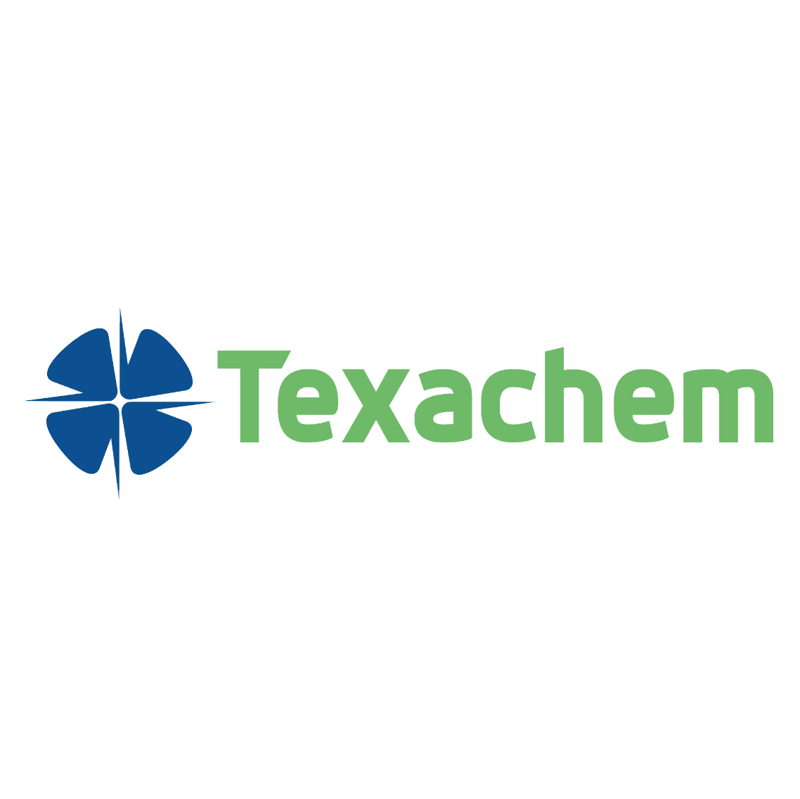 TEXACHEM INTERNATIONAL SRL logo