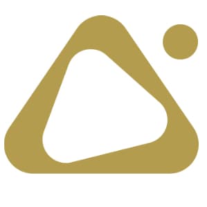 COSMO CONSULT logo