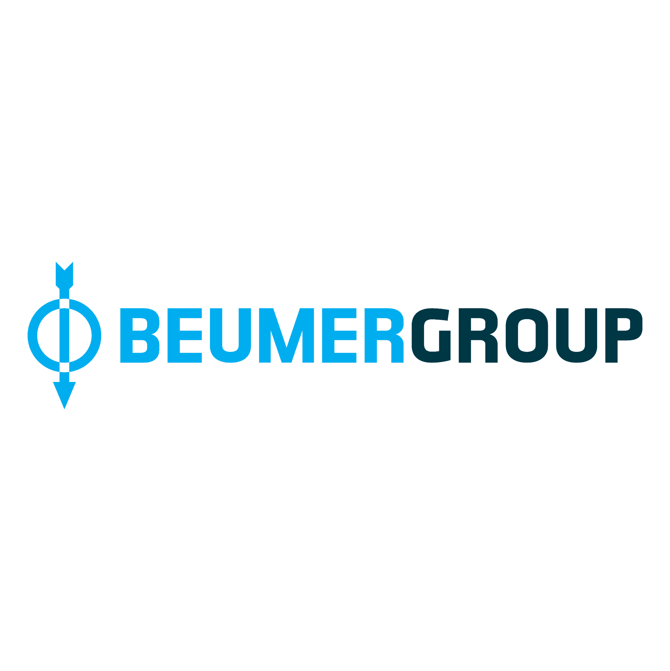BEUMER Group GmbH & Co. KG logo