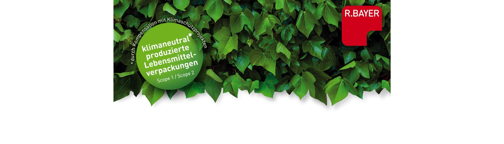 Rolf Bayer Vacuumverpackung GmbH