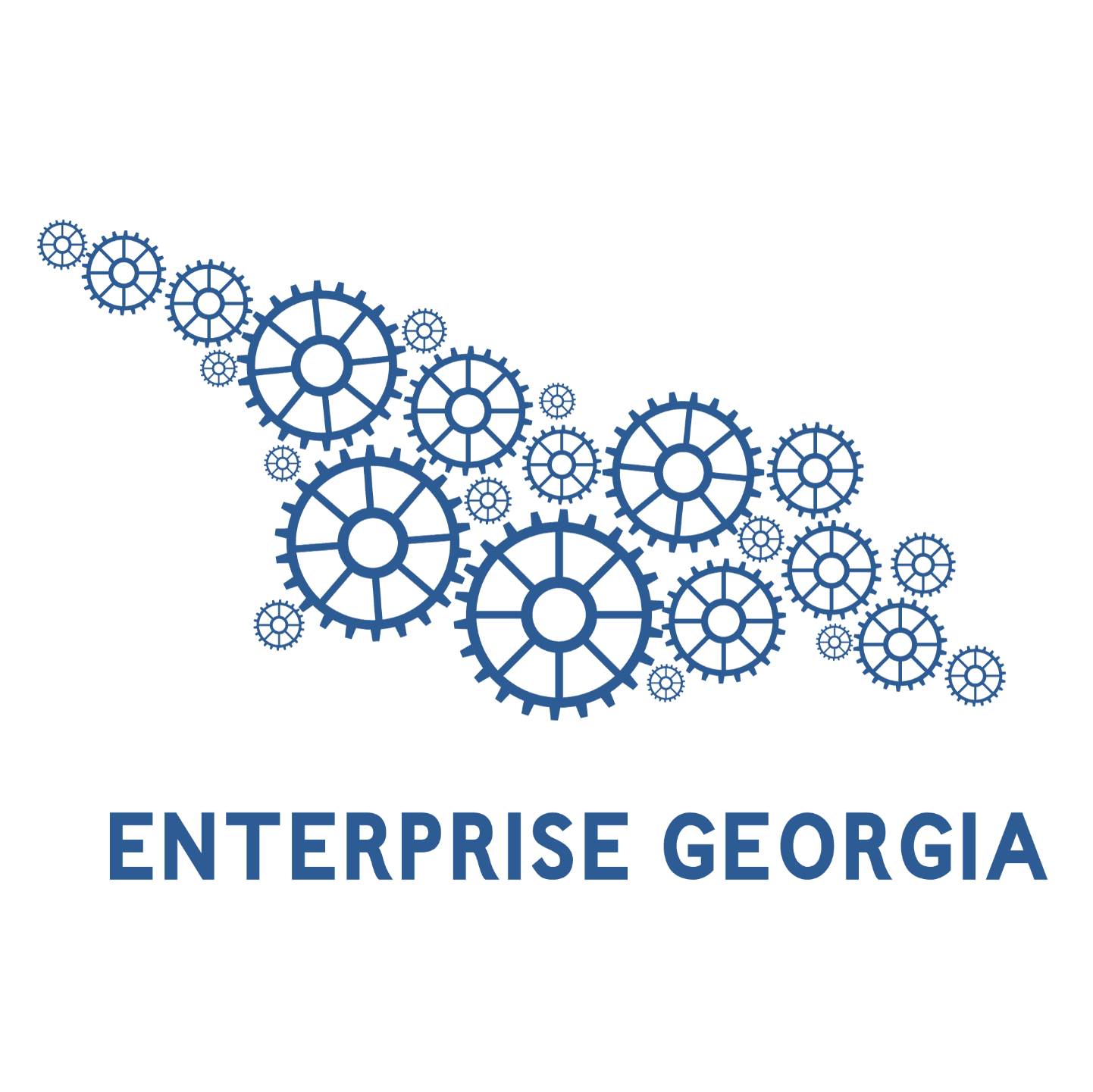 LEPL Enterprise Georgia logo