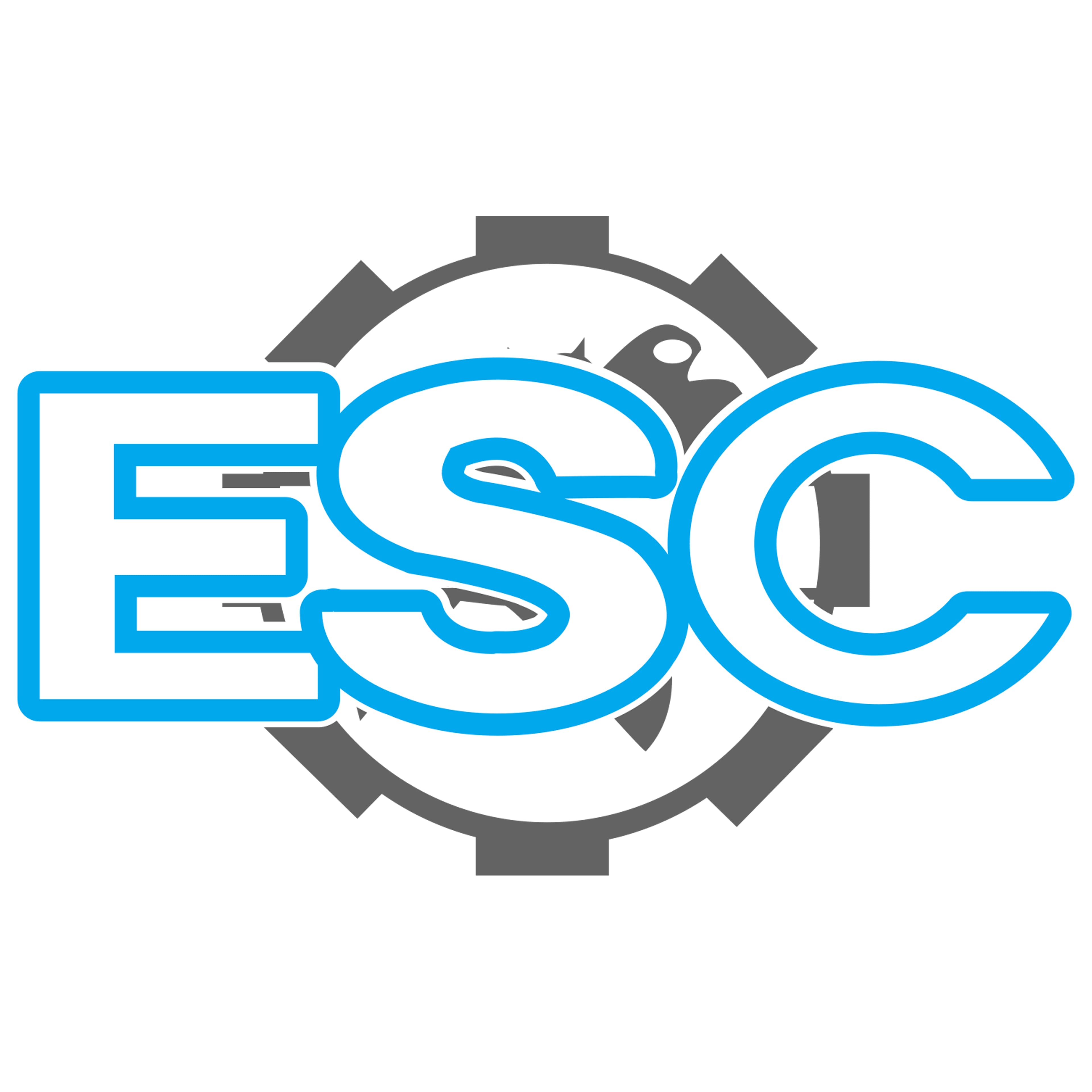 ESC Metal Packaging Solutions logo