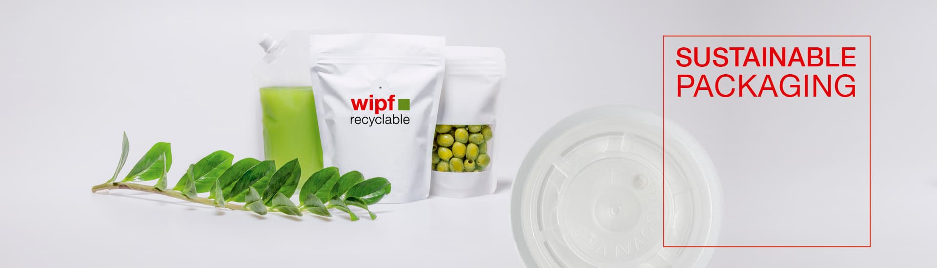 Wipf AG