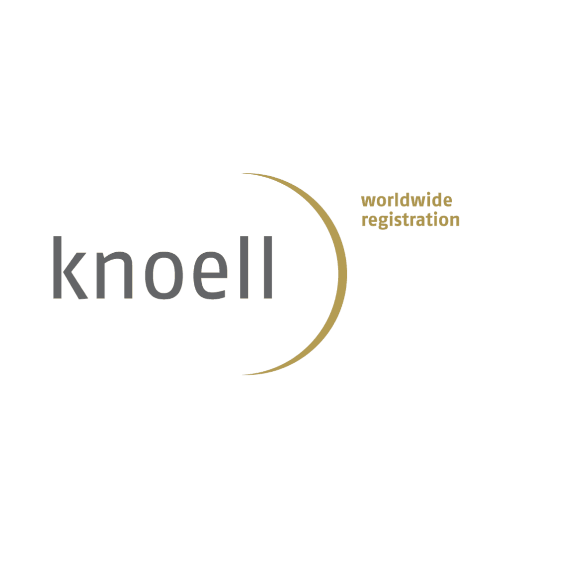 knoell Germany GmbH logo