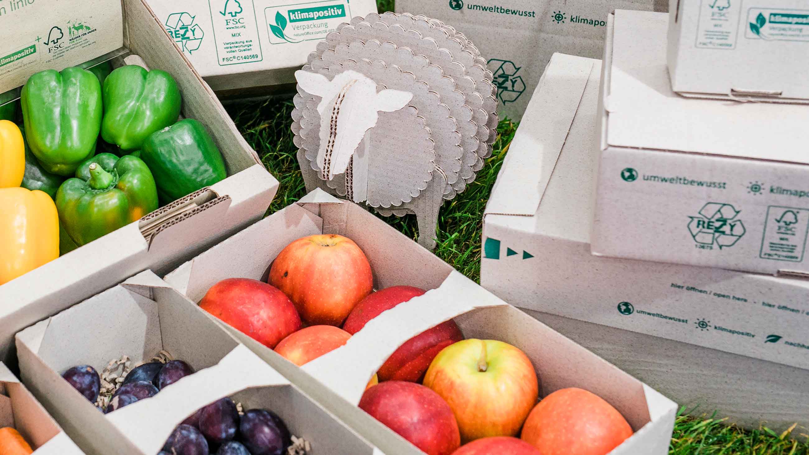 Ausstellungsstück einer Verpackung für Gemüse und Früchte auf der FACHPACK